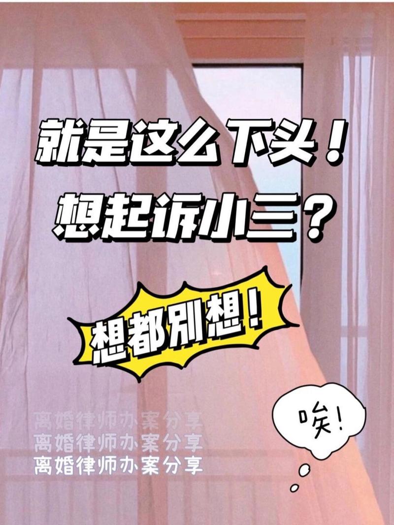 出轨离婚怎么分割财产_出轨离婚起诉要什么证据_出轨怎么离婚